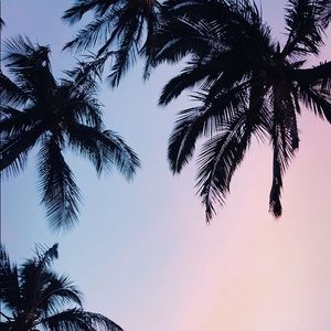 Meet your Posher, Kaylin